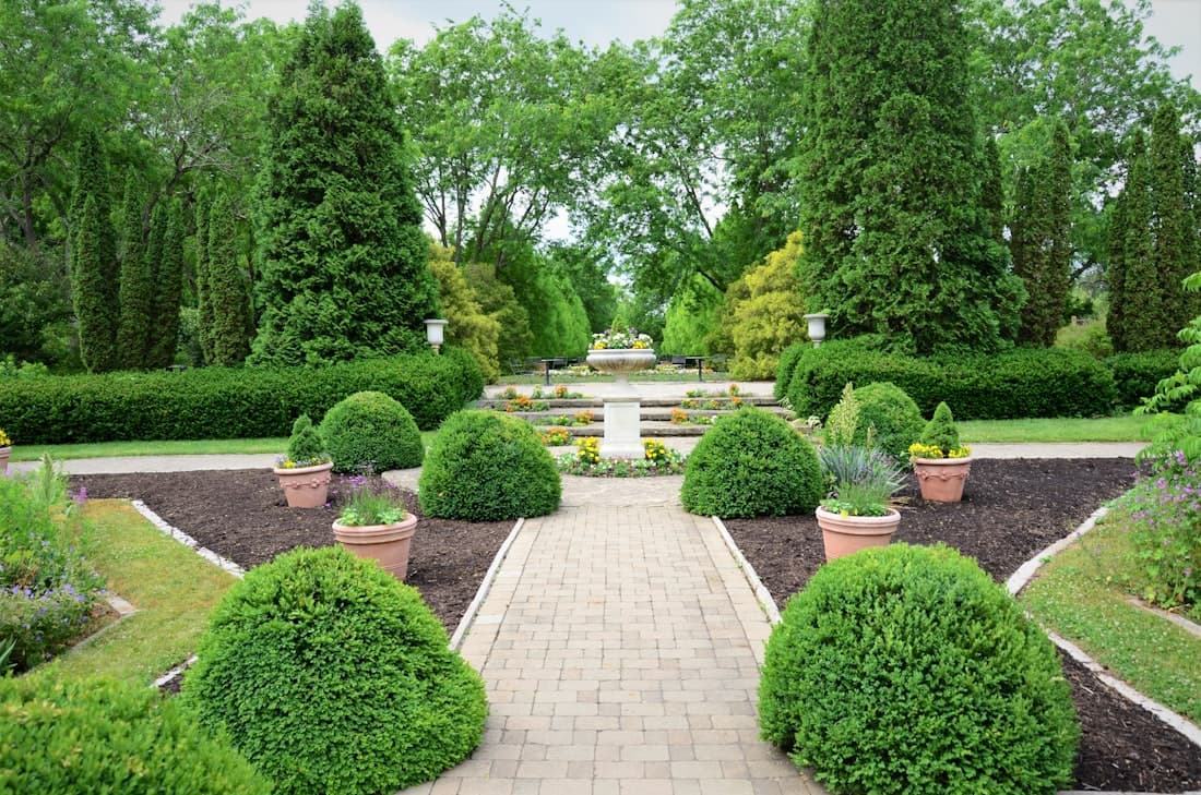 Jardinería Salgado 1